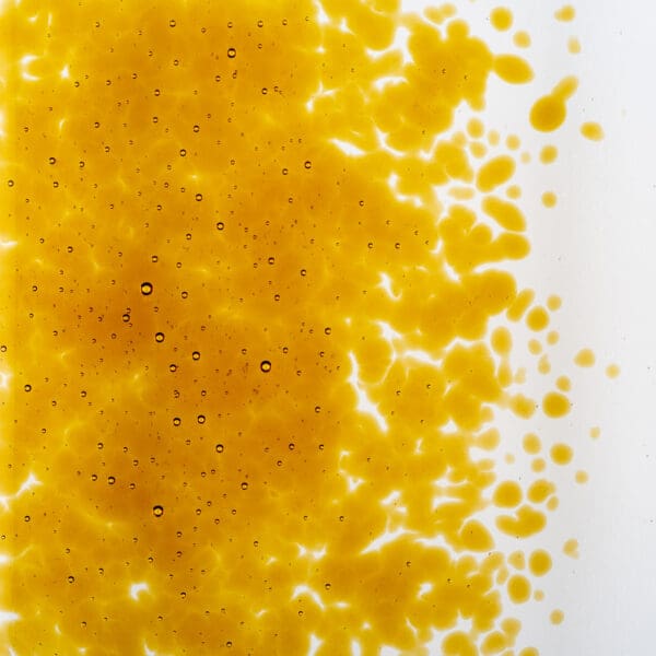 Bullseye Frits 1138 02 F mittel