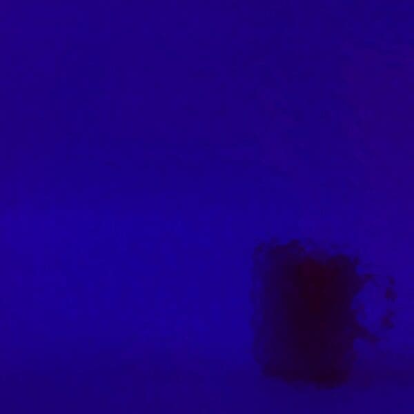 WISSMACH Glas Corella Classic Farbe 329