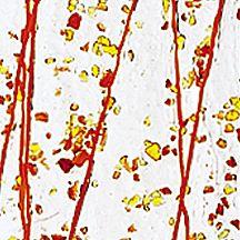 BULLSEYE Glasfarbe 4211-00F Mardi Gras