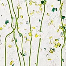 BULLSEYE Glasfarbe 4212-00F Mardi Gras