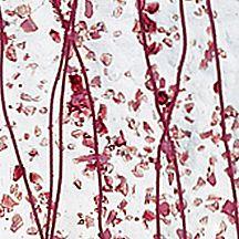 BULLSEYE Glasfarbe 4215-00F Mardi Gras