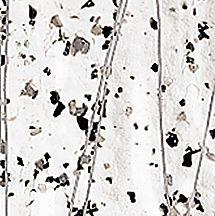 BULLSEYE Glasfarbe 4218-00F Mardi Gras