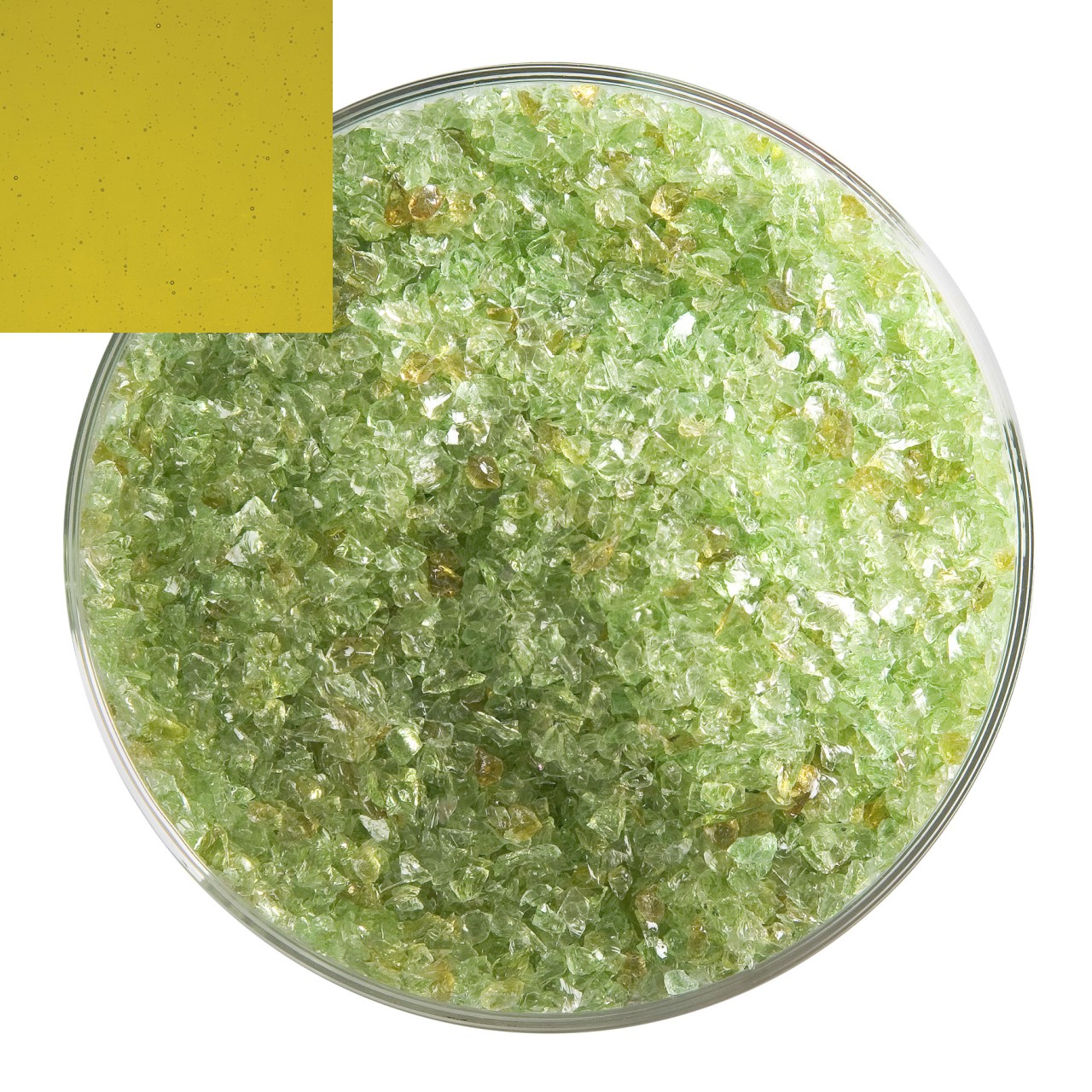 Bullseye Frits 1126 02 F mittel