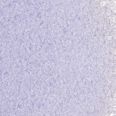 Oceanside Frits F2-5432-F-8 fein 240 g