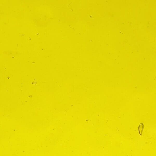 WISSMACH Glas Corella Classic Farbe 31