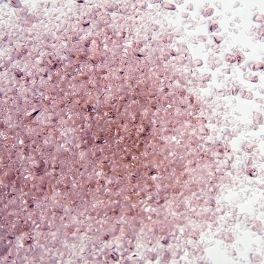 Oceanside Frits F3-1408-F-8 mittel 240 g