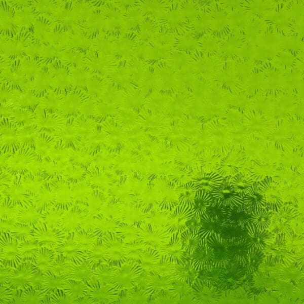 WISSMACH Glas 1146 Florentine