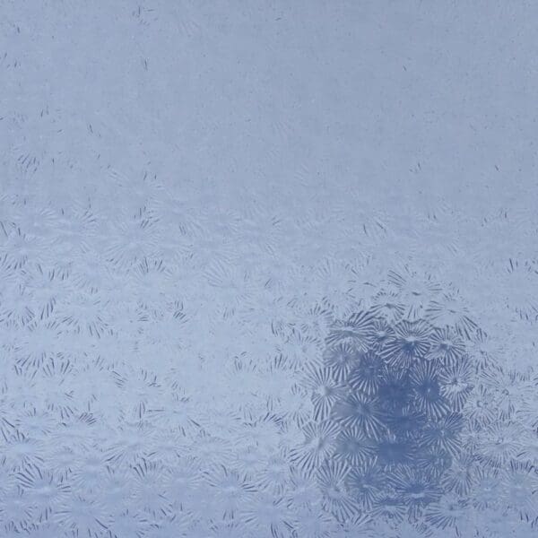 WISSMACH Glas 118 Florentine