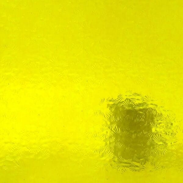 WISSMACH Glas 31 Florentine