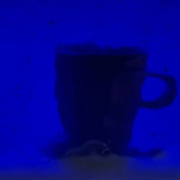 Mississippi River Glass 5005 C