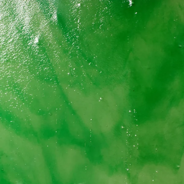 Mississippi River Glass 4013 S